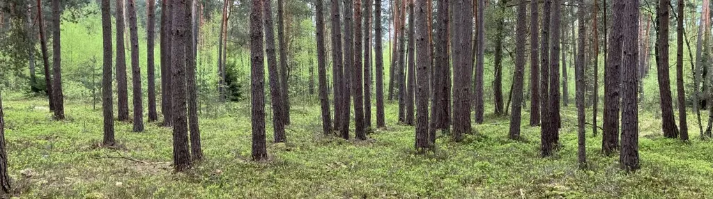 Działka na sprzedaż 8700m2