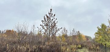 Działka 4070 m² z możliwością zabudowy