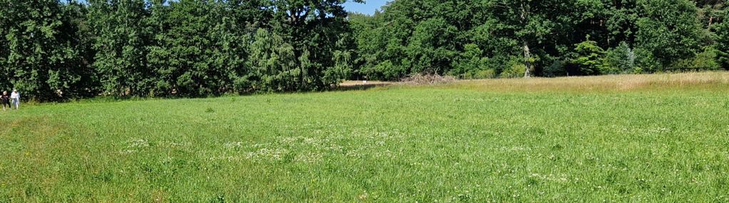 Działka inwestycyjna