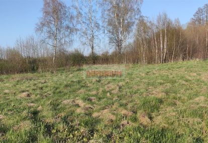 Polecamy działki położone w baciutach