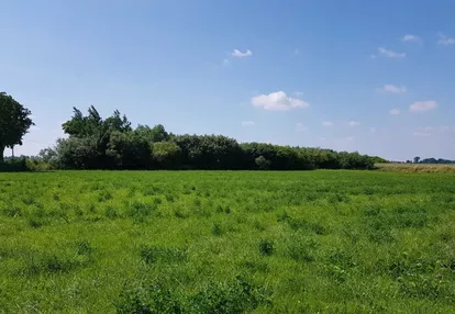 Działka na sprzedaż 3000m2