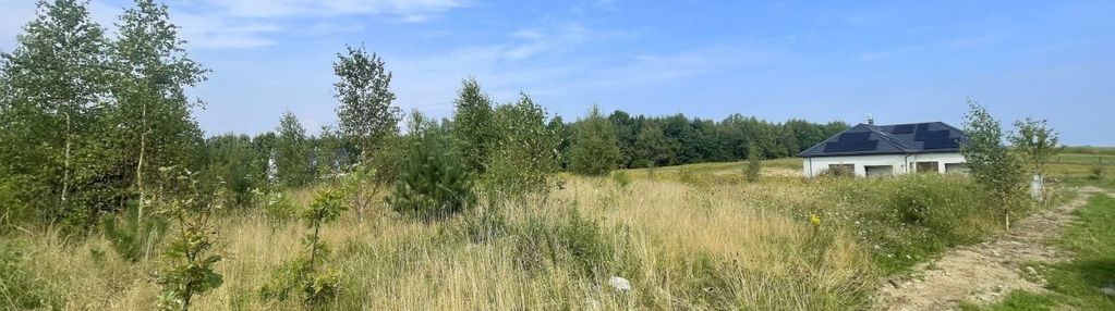 Malownicza działka z dobrym dojazdem do trójmiasta