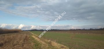 Wyjątkowy teren w milanówku