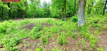 Działka budowlana widok na pasmo karkonoszy