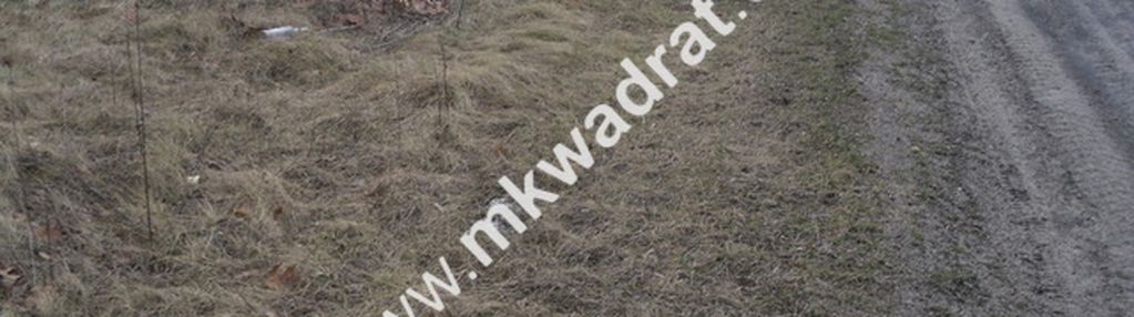 Ciekawa działka inwestycyjna w pęcicach małych