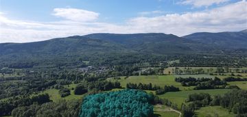 Działka z lasem w karkonoszach