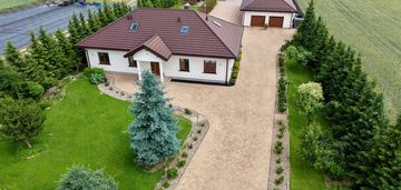 Dom z plantacją borówki – kolonia domaszewnica