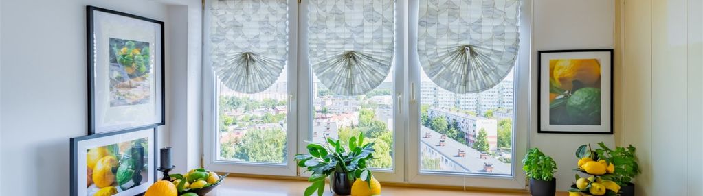 Panorama lasu z 11 piętra! tanie m3 na zazamczu.