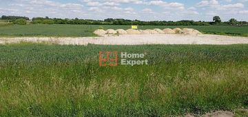 Szewce działka 6 600 m2 /inwestycja