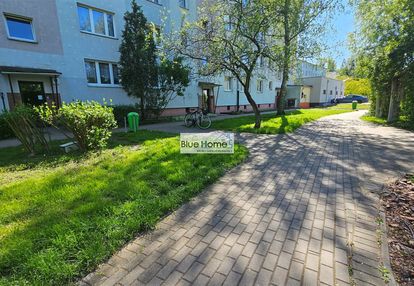 Na wynajem 3 pokoje toruń
