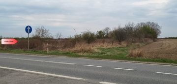 Duża działka rolna przy a8