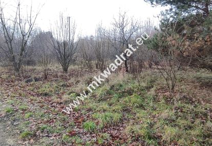 ⭐⭐⭐⭐  działka budowlana 1303 m budy grzybek ⭐⭐⭐⭐