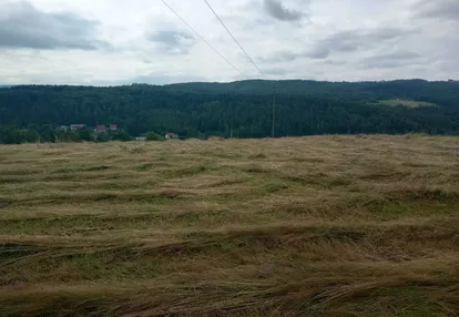 Działka na sprzedaż 1000m2