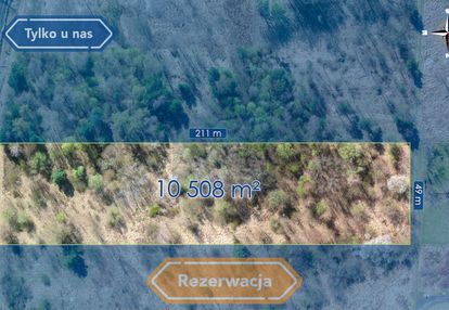 Działka z dużym potencjałem w świetnej okolicy