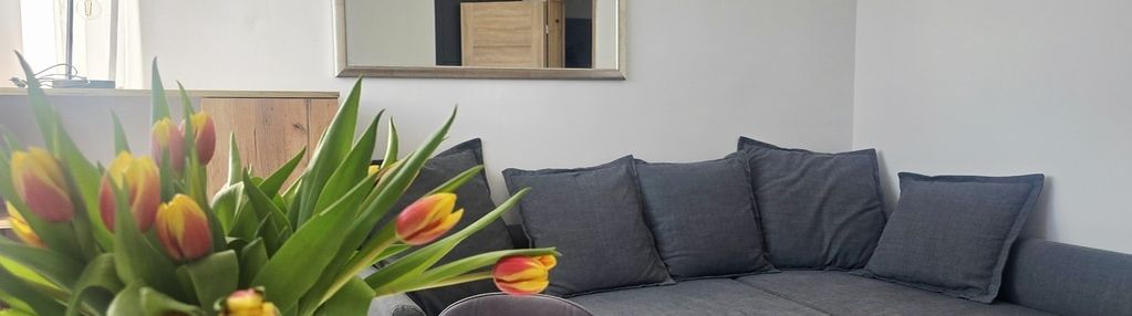 Na wynajem 2 pokoje ul.polna, jeżyce