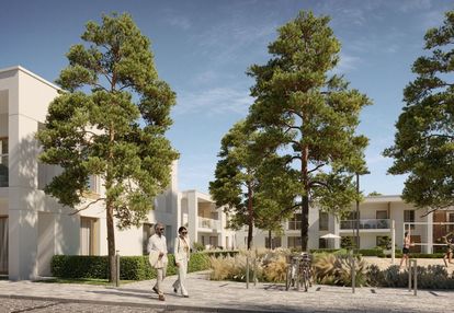 Mieszkanie z antresolą, wyspa sobieszewska