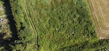 Łosice, ul. myśliwska – łąka 3576 m² na sprzedaż