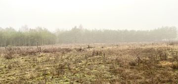 Działki z wz żołędowo