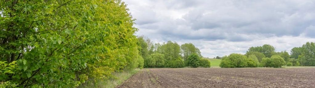 Działka budowlana w spokojnej wsi grodziszczany