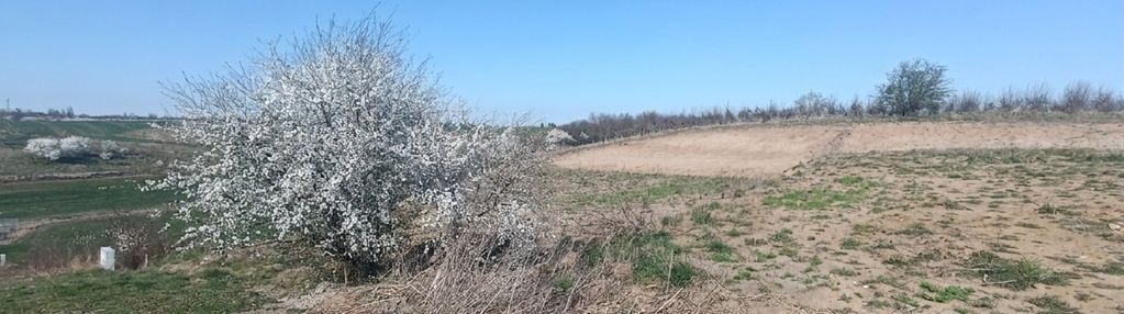 Piękna działka bałdowo spokojna okolica