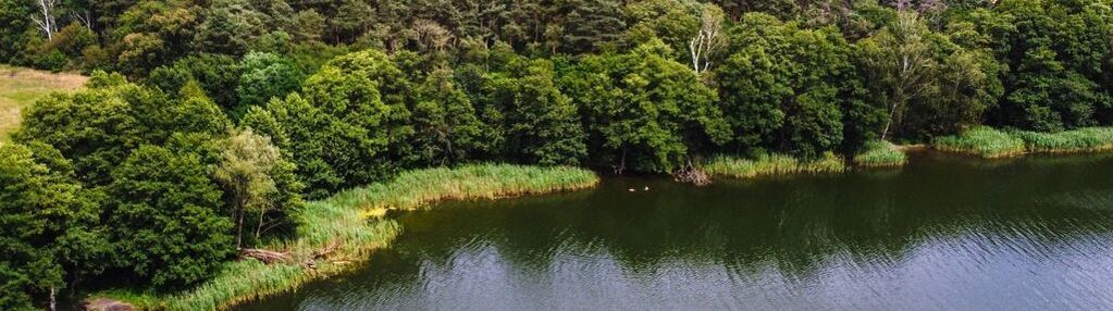 Działka przy jeziorze, blisko pniew