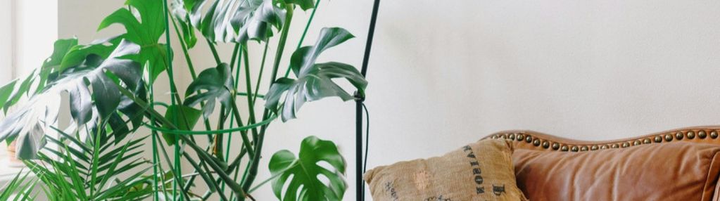 Idealne dla singla lub pary_słoneczne