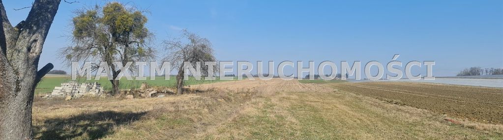 Działki dłutowo gm naruszewo