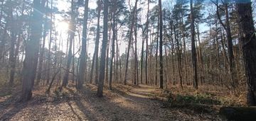 Dom w pobliżu lasu! taras 19m2! 110tys. taniej