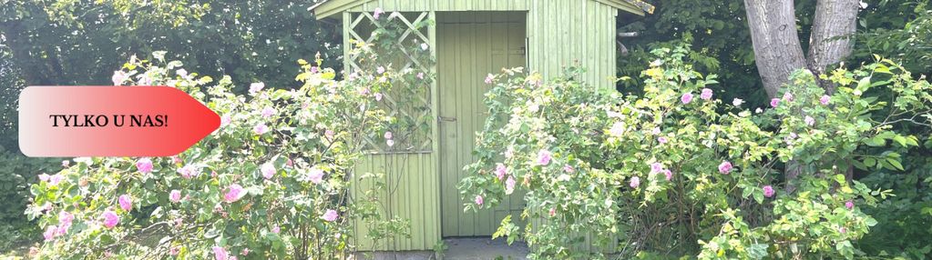 Działka rod 320 m² – górzyskowo, rod odzieżowiec