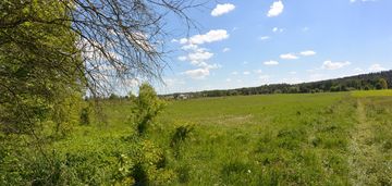 Działka 19 719 m2, dyminy, gm. morawica