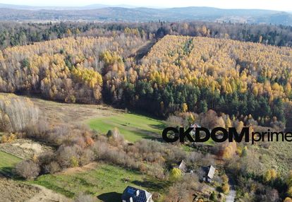 Działka inwestycyjna cisów 22 500 m²