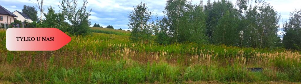 Działka mpzp/media/w okolicy lasu...