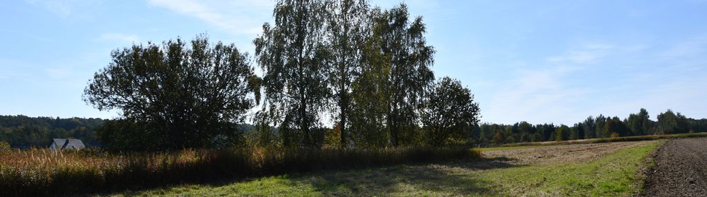 Działka rolno-budowlana 43a - strażów