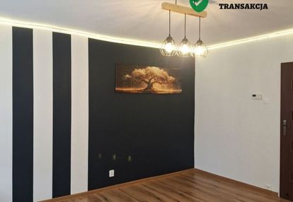 2 pokoje z ogródkiem i dużą piwnicą