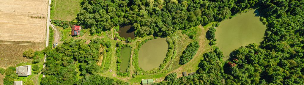 Na sprzedaż| agroturystyka |dolina 4 stawów|skopów