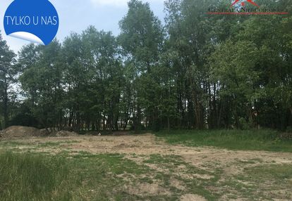 Nowe 4 działki w złotorii