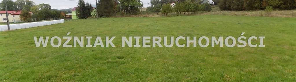 Duża działka w bratnica- nowa ruda