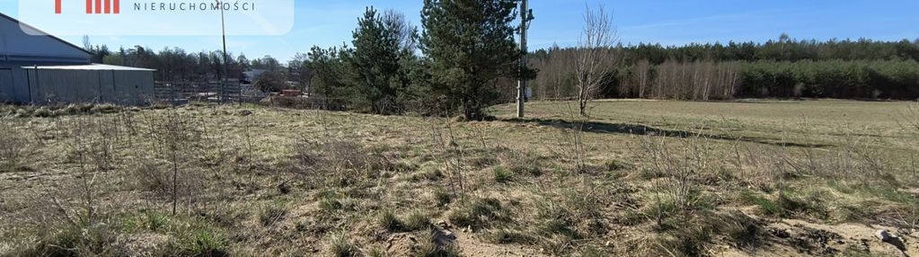 Działka 3000m2 przy dw221 - lubań