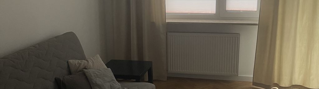 Do wynajęcia 2-pokojowe mieszkanie (42m2) na Powiś