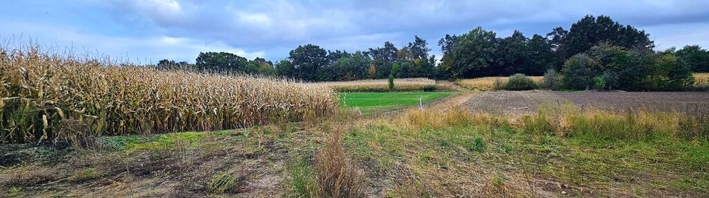 Duża widowiskowa cicha działka siekierowice
