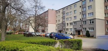 3 pokoje do własnej aranżacji - piasta