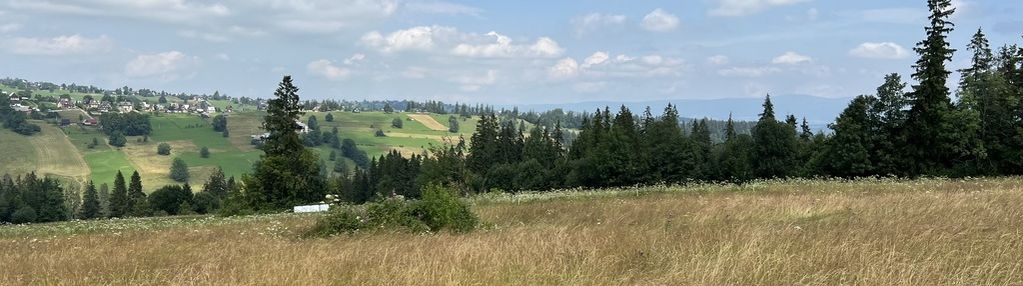 Kompleks działek rolnych biały dunajec