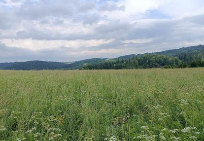 8000 m2 zabudowa mieszkaniowa w górach sowich