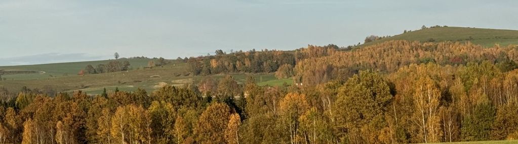 Działka rolna w siedlęcinie, zalesiona - zamiana?