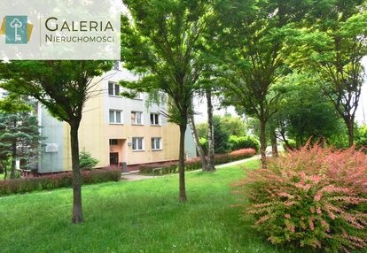 Super oferta - 3 pokoje - świetna lokalizacja!!!