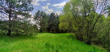 Piękna działka ze stawem, bory tucholskie