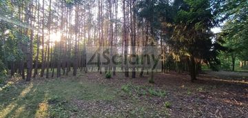 Sulejówek, piękna dzialka z drzewami