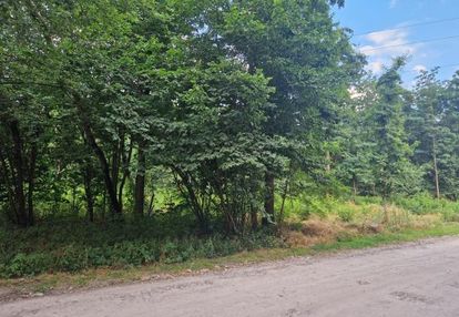 Działka z potencjałem