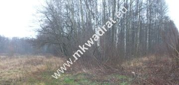 Działka leśna 8660 m² piotrkowice