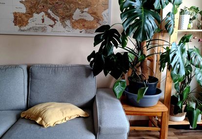 2 pokoje gdańsk wrzeszcz - obok garnizonu